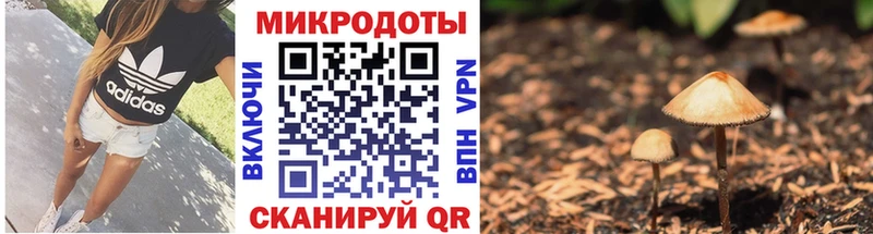 Псилоцибиновые грибы Psilocybine cubensis  kraken как войти  Звенигово 